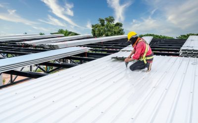 Signs That You Need a Commercial Roof Repair